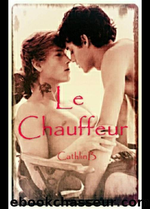 Le Chauffeur by Cathlin B