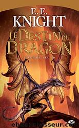 Le Destin du dragon by E. E. Knight
