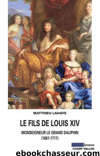 Le Fils de Louis XIV by Matthieu LAHAYE