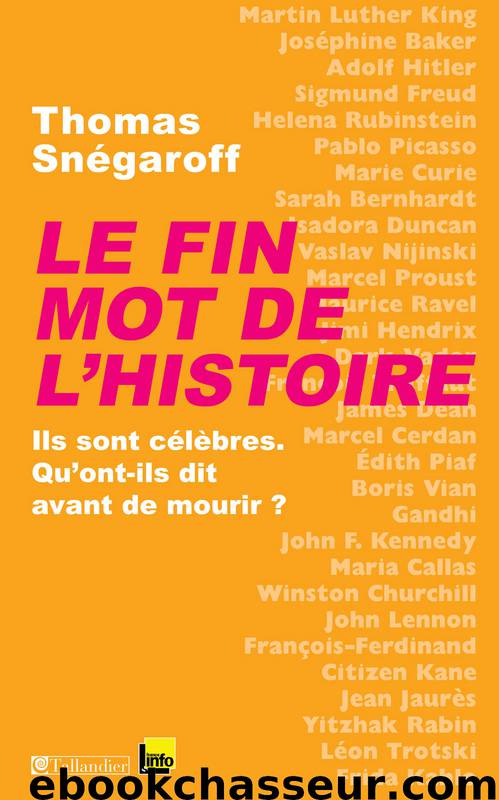 Le Fin mot de l'histoire by Thomas Snégaroff