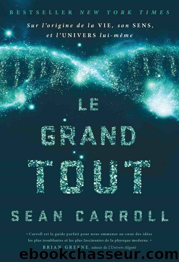 Le Grand Tout by Sean Carroll