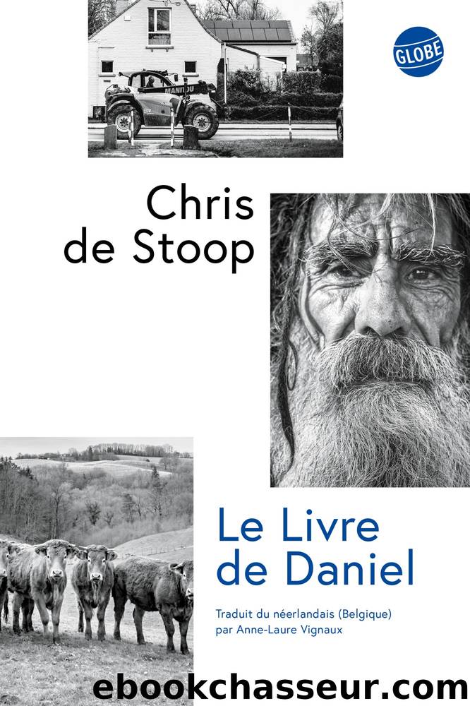 Le Livre de Daniel by Chris De Stoop