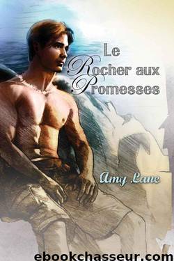 Le Rocher aux Promesses by Lane Amy