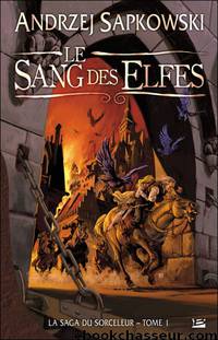 Le Sang Des Elfes by Andrzej Sapkowski