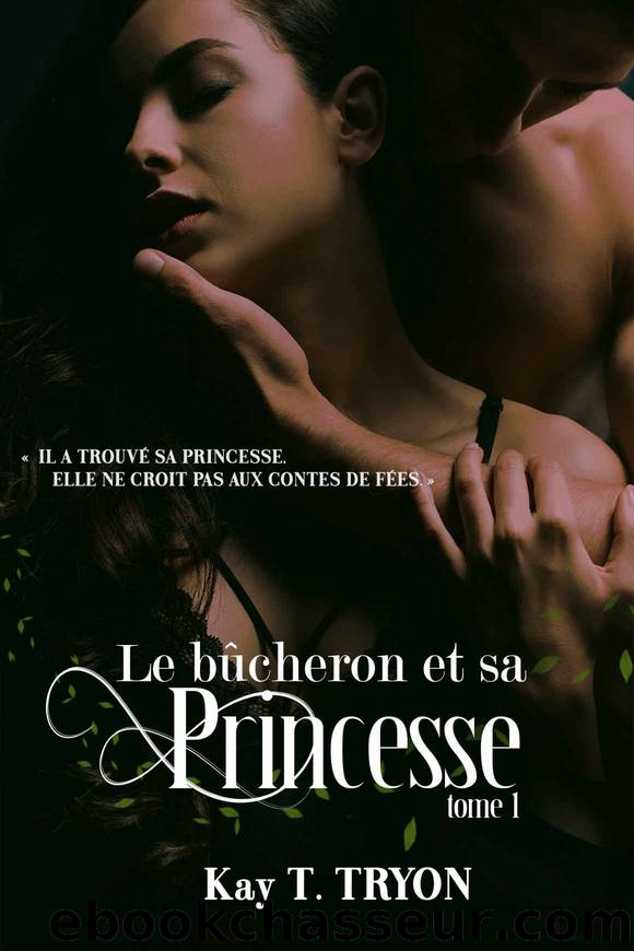 Le bûcheron et sa princesse, Tome 1 by Kay T. Tryon