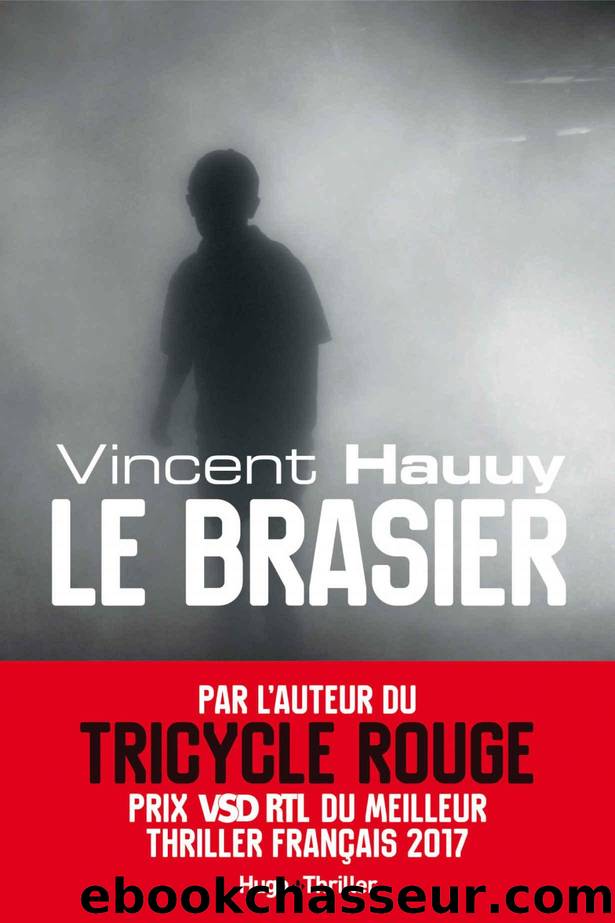 Le brasier by Vincent Hauuy