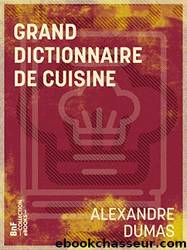 Le grand dictionnaire de cuisine by Dumas Alexandre 1802-1870 pere