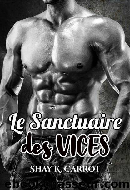 Le sanctuaire des vices by Shay Carrot