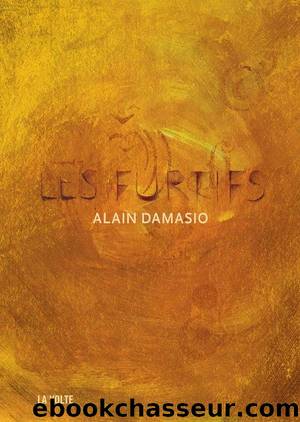 Les Furtifs (IMAGINAIRE) (French Edition) by Alain Damasio
