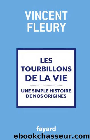 Les Tourbillons de la Vie - Une Simple Histoire de Nos Origines by Vincent Fleury
