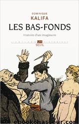 Les bas-fonds : Histoire d'un imaginaire by Kalifa Dominique