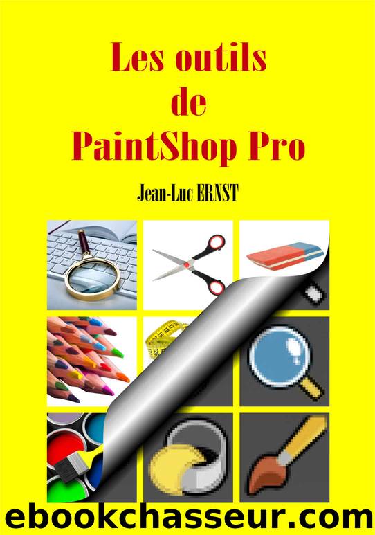 Les outils de PaintShop Pro (French Edition) by Jean-Luc ERNST