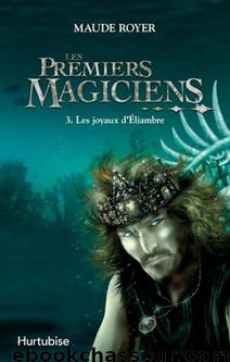 Les premiers Magiciens [3] Les joyaux d'Eliambre by Royer Maude