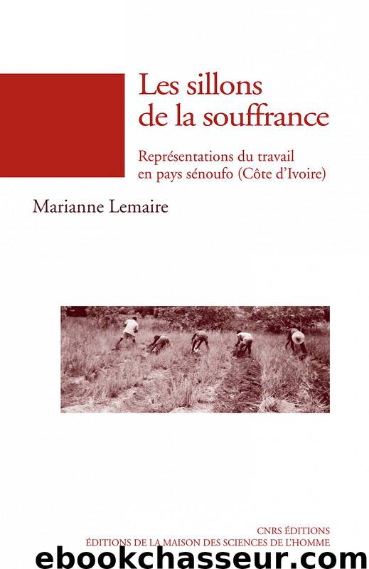 Les sillons de la souffrance by Marianne Lemaire