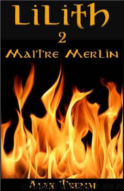 Maitre Merlin by Alex Tremm