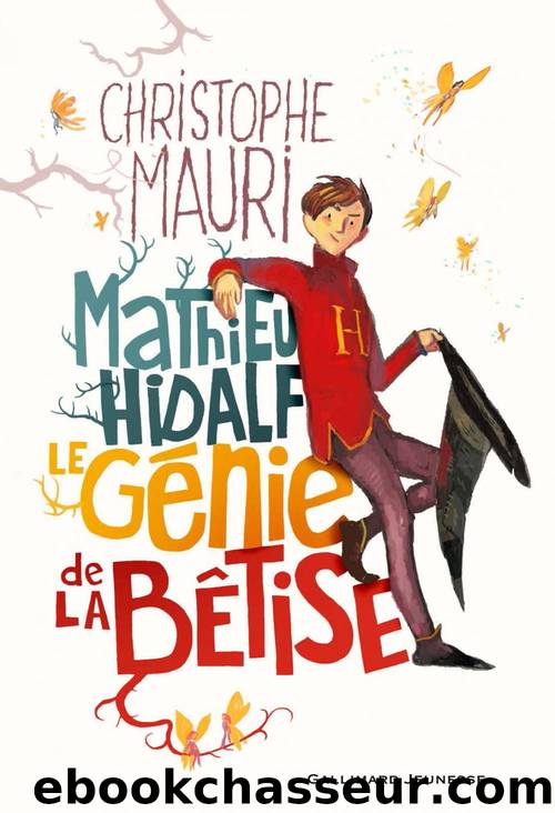 Mathieu Hidalf, le génie de la bêtise by Christophe Mauri
