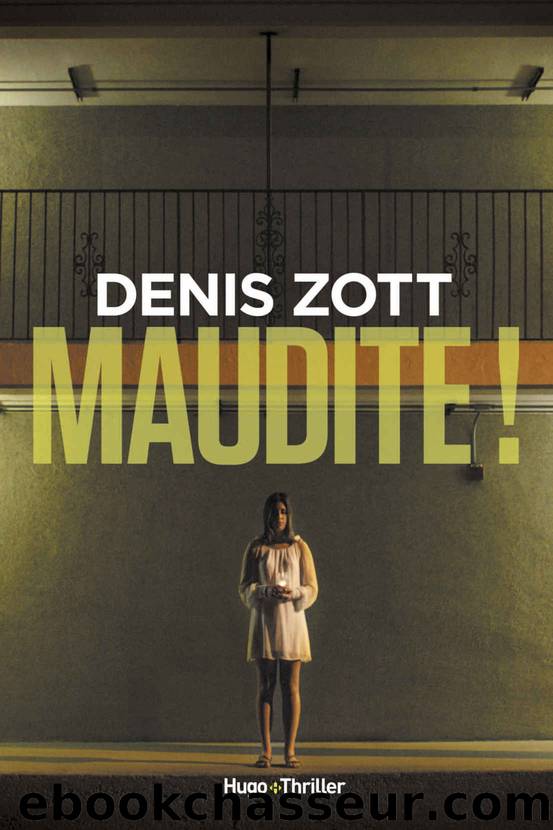 Maudite ! by Zott Denis