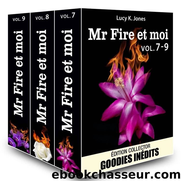 Mr Fire et moi - vol. 7-9 (French Edition) by Jones Lucy K