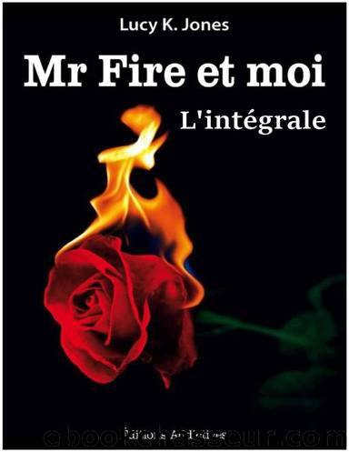 Mr Fire et moi; L'intÃ©grale by Jones Lucy K
