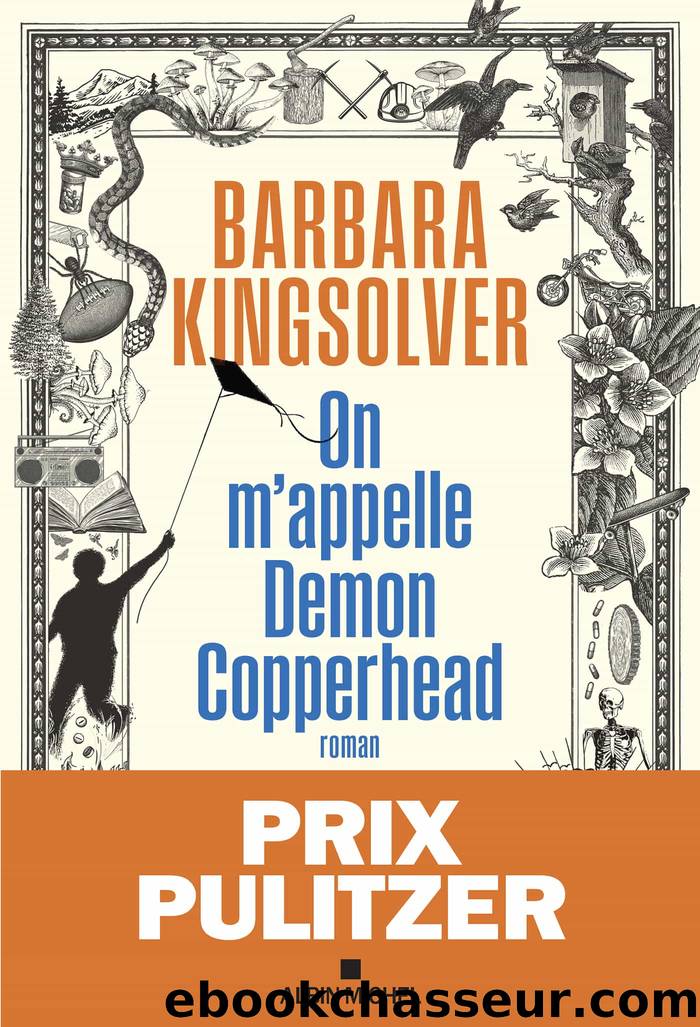 On m'appelle Demon Copperhead by Barbara Kingsolver & Kingsolver Barbara