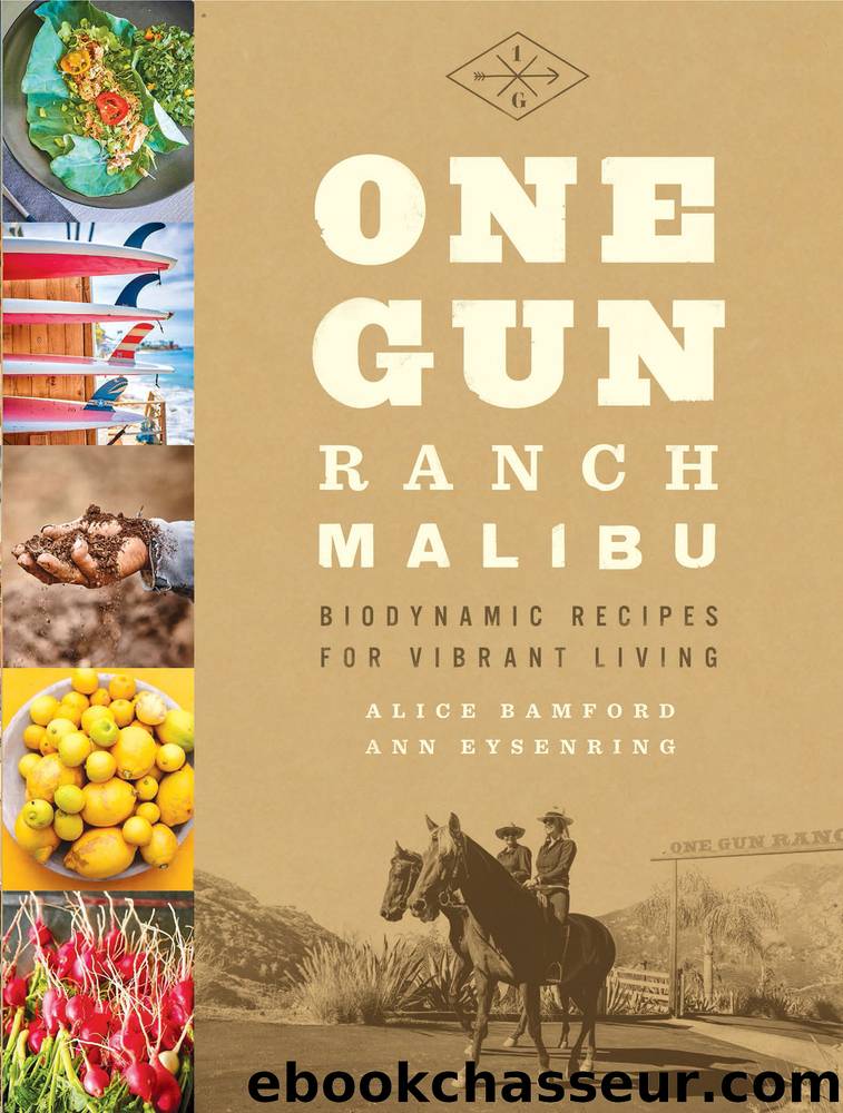 One Gun Ranch, Malibu by Alice Bamford & Ann Eysenring