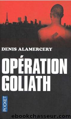 OpÃ©ration Goliath by Denis Alamercery