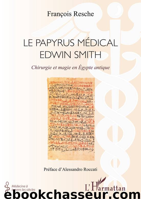 Papyrus medical Edwin Smith by Francois Resche