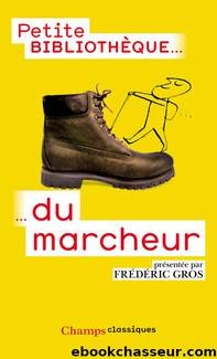 Petite bibliothÃ¨que du marcheur by Gros Frédéric
