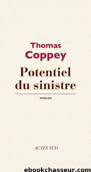 Potentiel du sinistre by Thomas Coppey