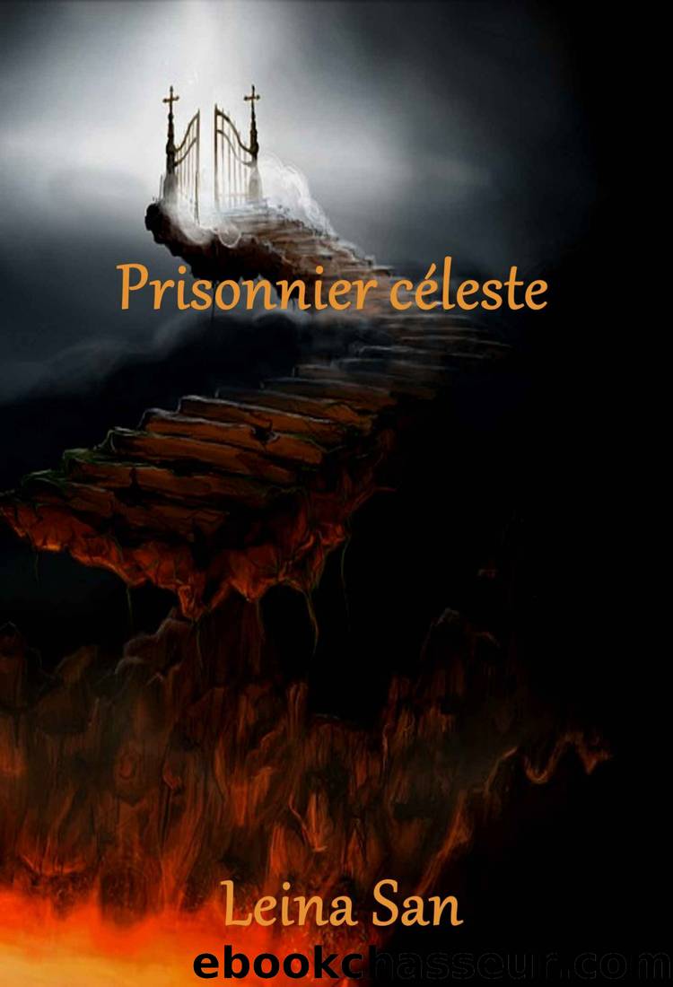 Prisonnier cÃ©leste - Tome 1 by Leina San