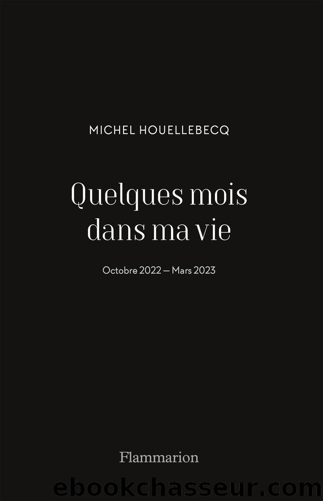 Quelques mois dans ma vie by Houellebecq