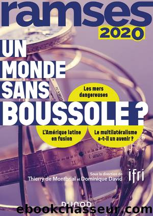 Ramses 2020 by I.F.R.I. Thierry de Montbrial