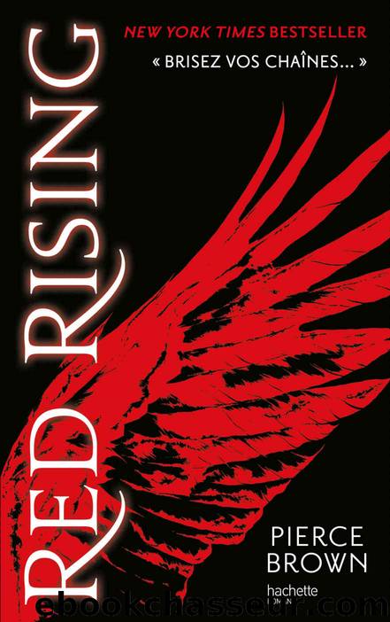 Red Rising 1 - Red Rising by Pierce Brown