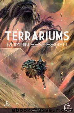Romain Benassaya by Terrariums