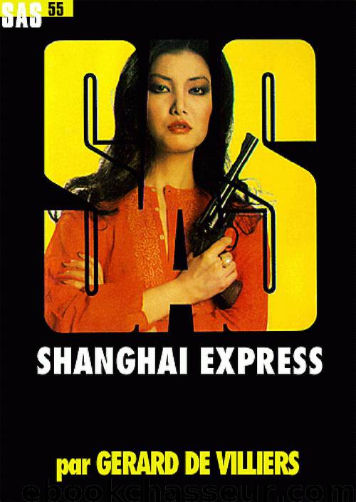 Shanghaï Express by De Villiers Gérard