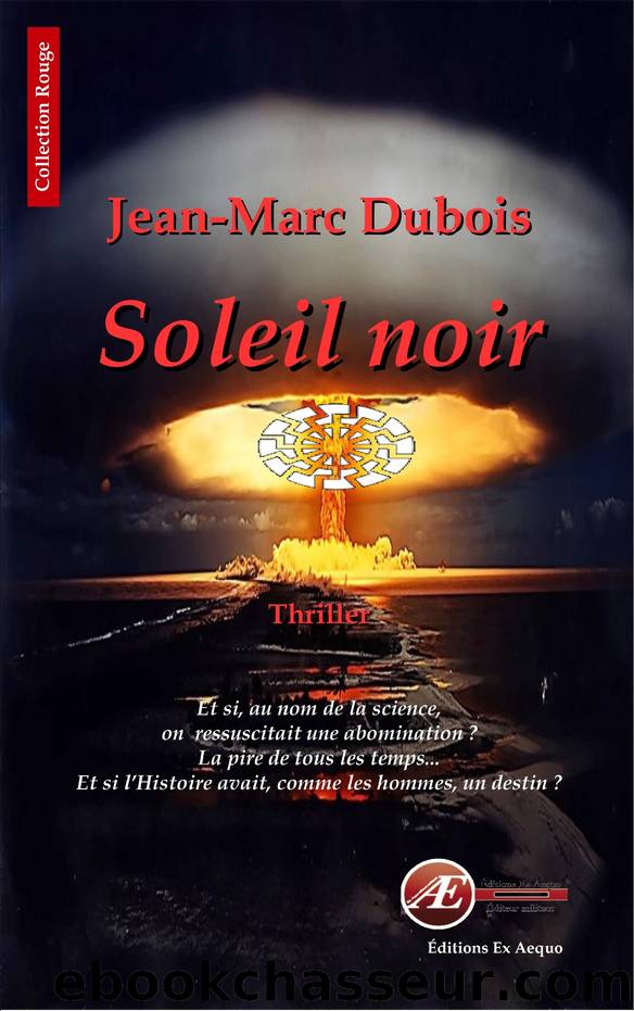Soleil noir by Jean-Marc Dubois