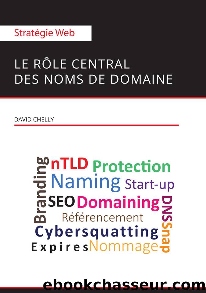 Stratégie web : le rôle central des noms de domaine (French Edition) by David Chelly