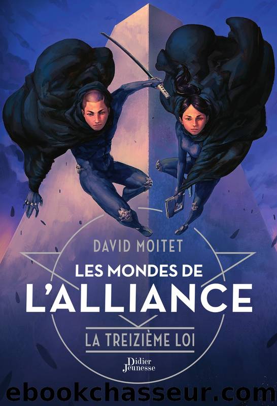 Tome 3 - La Treizième Loi by Moitet