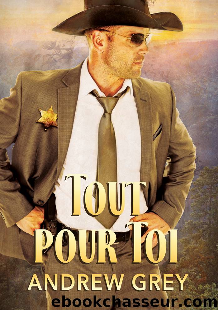 Tout pour toi by Andrew Grey