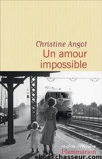 Un amour impossible (Flammarion, 19 août) by Angot Christine