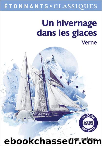 Un hivernage dans les glaces by Jules Verne