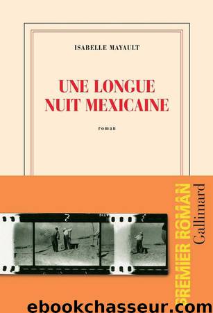 Une longue nuit mexicaine by Mayault Isabelle