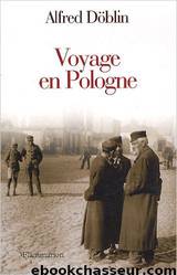 Voyage en Pologne by Alfred Döblin